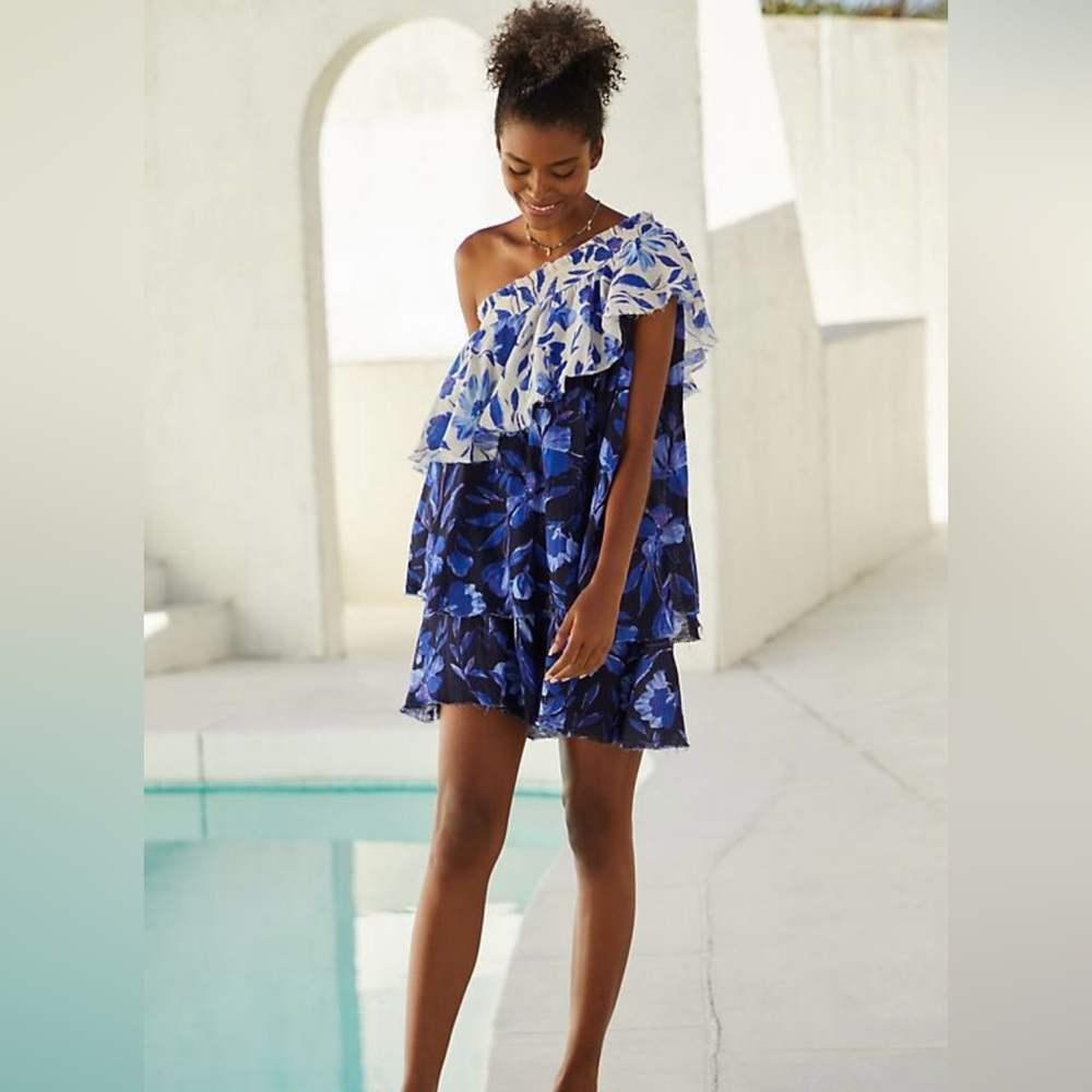 Anthropologie Blue and White Floral Dress